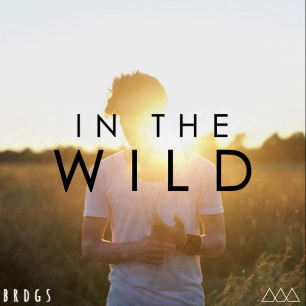 BRDGS • In The Wild